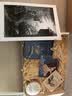 【译文插图珍藏本】 安徒生童话与故事全集 布面精装 小经典 实拍图