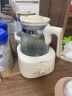 小熊（Bear）全玻璃恒温水壶婴儿 温奶调奶器冲奶粉烧水壶TNQ-C13G5 1.3L 实拍图