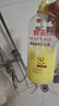 蜂花护发素套装柔顺营养小麦蛋白1L*3+生姜健发洗护100mlx2 实拍图