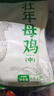 三德子好甄选壮年老母鸡 净重1.8-2.4斤 山地散养350天走地鸡肉生鲜月子鸡汤 实拍图