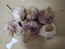 【百万单爆品】紫白皮蒜水果大蒜超市生鲜蔬菜调料即食蒜 大蒜6头 150g 单果3.5-5cm 实拍图