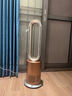 格库（GRECOOK）Air无叶风扇电风扇落地风扇空气循环扇空气净化静音立式家用节能电扇台式无扇叶除菌除甲醛 【医用级认证】净化+凉暖两用TP-09Pro白金色 实拍图
