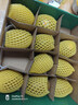 佳沛（zespri）新西兰 阳光金奇异果12粒礼盒特大果单果约122-146g 猕猴桃 水果 实拍图