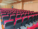 影院联排座椅报告厅礼堂桌椅音乐厅剧场剧院折叠排椅阶梯连体椅子 定做款式颜色 实拍图