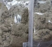 蕲春陈年散装家用蕲艾绒美容院专用500g三年陈正宗蕲艾叶艾灸绒包 蕲艾绒500g【5：1】 实拍图