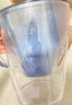 碧然德（BRITA）家用净水壶 滤水壶滤芯 MAXTRA+LE 去水垢专家滤芯 3枚装 实拍图