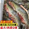 东上御品虾 青岛大虾基围虾鲜活青虾白虾海虾对虾冰虾冻虾生鲜 虾类 海鲜 3斤(净重)  气冻大虾【活虾速冻】 30/40规格【单只超大虾】 实拍图