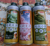 京东京造桃韵龙井毛尖小麦茉莉花茶精酿啤酒苏超看球春日出游1L*3三种口味 实拍图