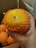 秭嘉鲜[秭归馆]湖北新鲜伦晚橙皇橙子当季水果正宗秭归脐橙甜橙 9斤大果（9斤净重） 实拍图