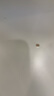 美的（Midea）小海绵除湿机/抽湿机 【美芝压缩机】除湿量12升/天 家用轻音万向轮 干衣机除湿器CF12BD/N3-OQ1 实拍图