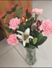 【向日葵百合玫瑰混搭花束】京东冷链特价鲜花插花基地直发好养 随机百合5朵+红豆5枝+随机康乃馨10枝 实拍图