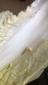【超市品质】新鲜精品娃娃菜现砍现发小包装新鲜蔬菜生鲜产地直发 新鲜娃娃菜1*(3棵)*1包 实拍图