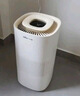 小熊（Bear）【紫外线除菌】无雾加湿器 母婴专用卧室空气净化空调加湿器 家用落地式大容量冷蒸发JSQ-H60L2 实拍图