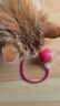 欢宠网猫玩具猫咪自动逗猫球棒电动自嗨神器自己玩解闷猫猫小猫幼猫宠物 实拍图