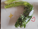  大芹菜约400g 实拍图
