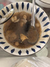 金唐黑松露佛跳墙260g/盒 海参鲍鱼花胶加热即食早餐夜宵方便预制菜 实拍图