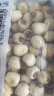 建莲建宁通心白莲去芯500g 绿色认证 干货无硫熏百合干银耳莲子羹配料 绿色 500g*1袋 （建宁通心白莲） 实拍图