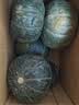 京鲜生 山东双色贝贝南瓜 净重3斤 单果150g+板栗香南瓜 源头直发 实拍图