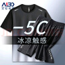 艾伦伯顿（Alen Botun）运动套装男健身服速干冰丝休闲短袖夏季宽松薄款训练篮球跑步服 两件套-渐变灰 3XL(190-220)斤 实拍图
