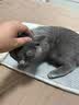 多可特狗窝凉席夏季狗窝猫垫子猫窝狗垫子藤编猫咪窝地垫宠物床宠物冰垫 凉席款,53*34CM 实拍图