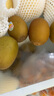 佳沛（zespri）新西兰  阳光金奇异果18粒超大果原箱单果重约173-204g 猕猴桃 实拍图