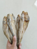 赶海弟【潍坊产地】逛鱼干片500g 胶东特产海鱼干 小咸鱼 源头直发包邮 实拍图