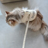 欢宠网猫咪牵引绳猫绳宠物防挣脱可调松紧背心式专用溜遛猫绳子外出用品 实拍图