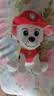 汪汪队立大功（PAW PATROL）汪汪队玩具毛绒全套狗狗玩偶公仔男女孩玩具旺旺队儿童生日礼物 经典款-毛毛公仔【需选尺寸】 中号-坐或站高约17~22.9CM 实拍图