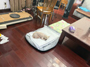 憨憨乐园狗窝猫窝XXL号宠物房子狗狗用品狗垫子屋四季大型犬垫床加大号 实拍图