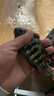 达亿瓦（DAIWA） CROSSFIRE 路亚竿入门路亚杆钓竿路亚钓鱼竿 进口路亚竿 1.68m 562ULS CS（超软调直柄） 实拍图