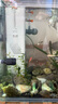 森森 小鲤鱼缸过滤器净水循环三合一内置水族箱过滤系统XQP-500F 6W 实拍图