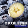 寻良万亩云南蓝莓【空运-多地次日达】超大果花香蓝莓新鲜水果送礼品物盒 8盒 金钻品质果【100-125g/盒】 【精品蓝莓】单果16mm+ 实拍图