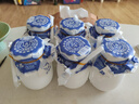 北冰洋老北京瓷罐酸奶  冰冰熊原味酸奶 风味发酵乳 200g*6罐装 实拍图
