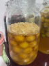 喜碧（Scybe）泡酒容器 密封罐10斤装泡酒专用瓶泡菜坛子泡酒瓶腌菜瓶潘多拉5L 实拍图