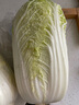 小汤山 北京 三宝白菜 600g 基地直供新鲜蔬菜 实拍图