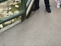 安踏运动鞋男鞋夏季软底网面透气轻便跑步鞋训练休闲户外旅游鞋子男士 【店长推荐夏季男鞋】黑武士-1 43 实拍图