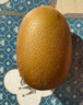 佳沛（zespri）新西兰 阳光金奇异果12粒礼盒特大果单果约122-146g 猕猴桃 水果 实拍图