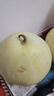 佳沛（zespri）新西兰阳光金奇异果原箱 16粒巨无霸 单果重约202-230g   猕猴桃 实拍图