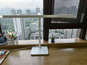 松下（Panasonic）台灯AAAA级护眼台灯儿童全光谱学习横灯头台灯 爱目T10 实拍图
