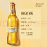 百威金尊啤酒500ml*12瓶整箱装Supreme（效期9个月）  实拍图