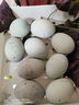 我老家 正宗皮蛋松花蛋鸭蛋 无铅工艺变蛋 10枚 500g -600g 松花蛋 实拍图