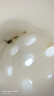 普安特宠物猫咪驱虫药驱虫体内体外驱虫跳蚤犬虱非泼罗尼爱滴克套装 实拍图