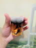 七春 乌龙茶茶叶 大红袍2025新茶武夷岩茶罐装500g茶叶自己喝 送长辈 实拍图