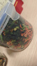 富昌 脱水混合蔬菜干300g（高丽菜 胡萝卜 万年青）泡面伴侣蔬菜包 实拍图
