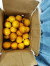探味君 广西武鸣沃柑 新鲜水果应当季时令橘子桔子整箱 生鲜 净重8.5-9斤 单果55-60mm 实拍图