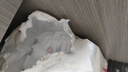 好奇（Huggies）金装成长裤XXL74(15kg以上)加加大号婴儿尿不湿超薄拉拉裤 实拍图