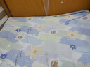 【全棉纯棉】品质床单单件水洗棉出租屋单人儿童炕单床上 假日回忆 全棉【200x230cm】单件床单 实拍图