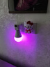  倾城鸟 情趣用品调情氛围灯sm夫妻刺激床上道具房事调情浪漫情趣灯情侣互动卧室气氛夜灯插电遥控16色可调 实拍图