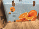 玖原农珍 湖北秭归脐橙当季现摘橙子净重9斤优选果单果170g+ 新鲜水果礼盒 实拍图