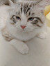 迪普尔猫咪指甲剪猫指甲钳新手专用圆孔剪推推剪可调节小盲剪宠物指甲刀 实拍图